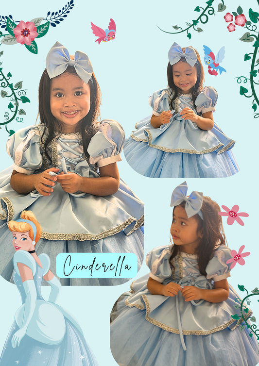 Cinderella Disney Princess Dress
